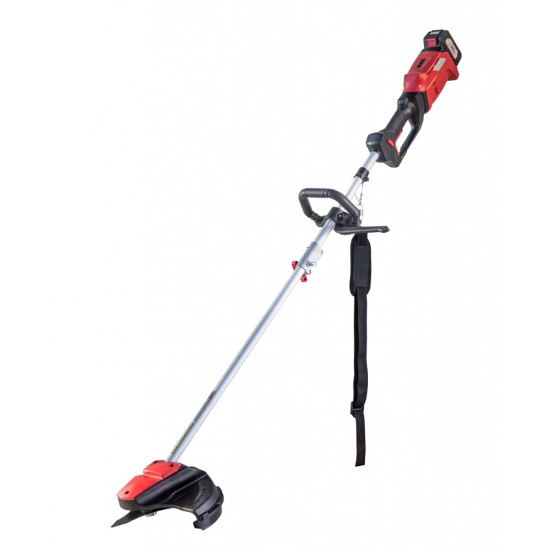 R20 Коса безчеткова акум. 300mm 20V 2Ah 1h RDP-SBBC20 Set